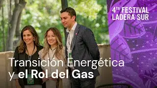 Energy Transition and the Role of Gas