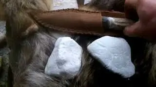 TheTribeOfBenjamin Thanks Paleoman52 !