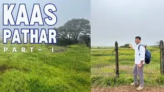 Kaas Pathar Part - I ! Satara Kaas Pathar ! Pune to Kaas Pathar ! Valley of Flower ! Kaas Plateau
