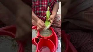 Aloe Vera Juice Making #streetfood #shorts