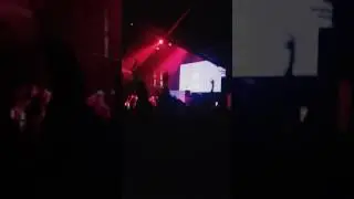 Ray Volpe & Prince Fox(3)
