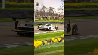 Can the Lotus Elise GT1 hold its own against the F40? #lotuselise #ferrarif40 #motorsport #racing