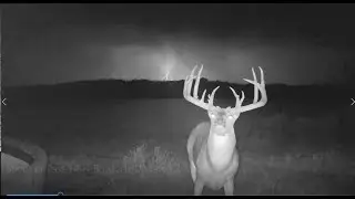 Shoot or Pass HBH Bowtech