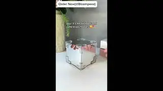 It's beauty with this BloomPeez light! #bloompeez #instagram  #facebook #youtube #tiktok #TwitterX