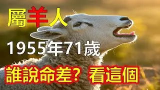 乙未羊的貴人方向：東南方帶來機會與緣分，命理指出，1955年屬羊人貴人多來自東南方。無論旅居、工作或貴人相助，多與此方位有關。若能順勢而為，住居或出行朝東南#屬羊#生肖羊 #1955 羊