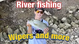 Fishing the muskingum River for hybrid striped bass and more...