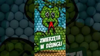 Zwierzęta w dżungli dla dzieci z piłkami - Wąż
