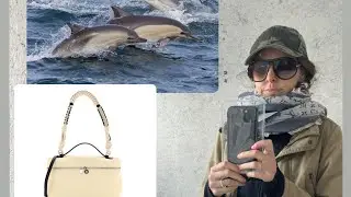 My first Vlog!!! California/Fraxel/Thermage/shopping//Whale watching!!!