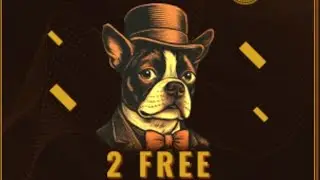 Заработать 50-100$ в месяц на пасиве!.. В игровом формате! Doge station и Amigo! Крипто игры