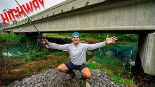 Catching Fish Under a HIGHWAY BRIDGE in FILTHY URBAN CREEK