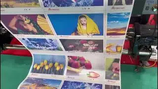 eco translite printing