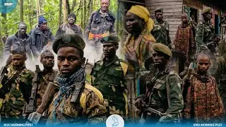RDC-UVIRA : PILLAGES ET VIOLS À MAKOBOLA, LES FARDC ET WAZALENDO GRAVEMENT ACCUSÉS