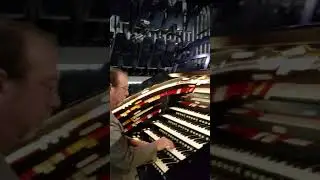 Tampa Bay Lightning Organ @ the arena