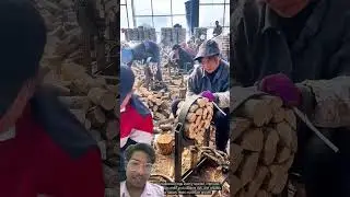 Wood binding process 😯 #shortsfeed #construction #inventiontech #wood #trending #viral #shorts