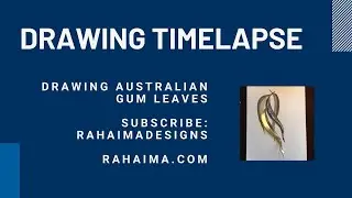 Timelapse Drawing of Australian Gum Leaves for silversmith design