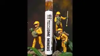 Trichome Miners - Team Elite Genetics X Karisma - Pineapple Guavas 🍍 @O2VAPE Disposable Glass AIO