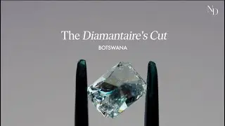 Aurostar's Legacy: Shaping The Future Of Diamonds | Only Natural Diamonds