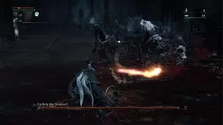 Ludwig used skull bash