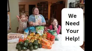Can We Make It? Weekly Sale Ads vs. Wal-Mart Prices!