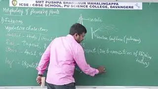 SPSMR &ndash; Best PU Science College in Davanagere 15  Morphology of Flowering Plants