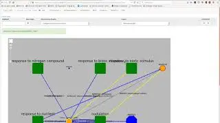 [LeGOO] Expand Knowledge Graph