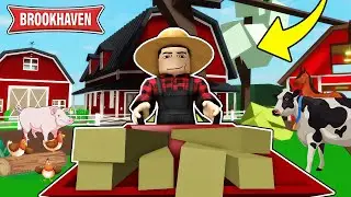 ZOSTAŁEM ROLNIKIEM NA BROOKHAVEN! 👨🏻‍🌾🚜🐓🐷