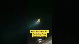 Hati2 Ya Adek2 Yang Suka Mandi Di Pantai Sekitaran Pelabuhan Ferry Bastiong Ternate