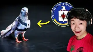 The CIA&lsquo;s Animal Agents (fern) | REACTION