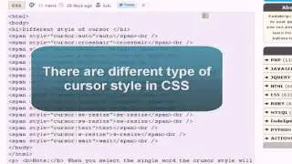 CSS Tutorial : CSS cursor