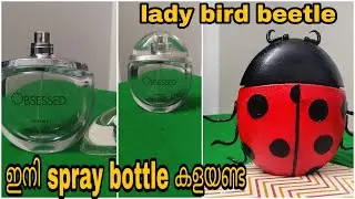 Best Out Of Spray Bottle DIY| Lady Bird Beetle With Spray Bottl| DIY Spray Bottle| Reuse Ideas