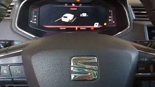 Como borrar inspección Seat Ibiza 2019
