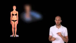 Lezione 2 - Lo Statokinesigramma - Corso Stabilometria SprintIT - Diego Scattolin