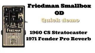 Demo Friedman Smallbox (1960 CS Fender Stratocaster 1971 Pro Reverb)
