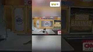&laquo;Эпический ￼ ПРОВАЛ&raquo;