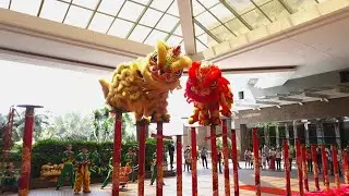 Acrobatic Lion Dance 2022