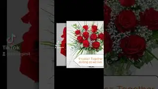 Meaning of No. of roses part 2 🌹