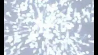 Aya Brin - Sound Ex 1