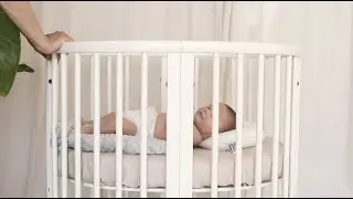 Mimos Pillow - backsleep