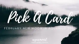 *Pick A Card* - February New Moon in Aquarius 2021