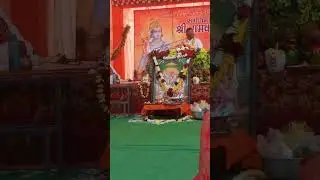चिडिया करती हैं बसेरा 🥰🥰