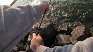 whitebass in south dakota over and over again with them kastmasters