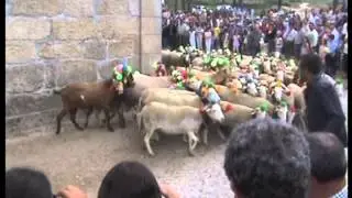 Santo António dos Cabaços - S. Cosmado, Mangualde