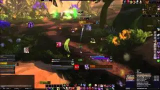 Everbloom - Full Run - WoD Beta Dungeon