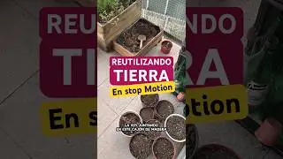 Reusing soil in stop motion #stopmotion #animation #animatingobjects #plants #compost