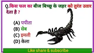 Gk new video || gk knowledgeable video|| किस फल का बीज बिच्छू के ज़हर को तुरन्त उतार देता है 