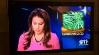 Reporter  Charlo Greene Says  F ck It I Quit