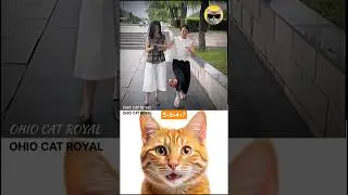 Confused thief 🤣 #thief #popular #shorts #funny #cat