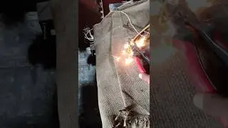 Moose wala song shorts video