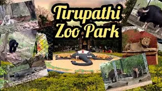 Come and explore the Tirupathi ZooPark Every Nature Lover Must Visit Sri Venkateswara ZoologicalPark