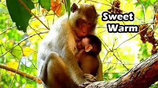 Mum ANNa Change Her Mind From Hate To Love Alba | Young Mum Share Her Sweet Hug To Poor Baby ALba